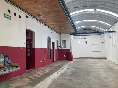 /international/mx/laguna-de-terminos-198-granada-miguel-hidalgo-ciudad-de-mexico-ciudad-de-mexico-mexico-city-310107919244/