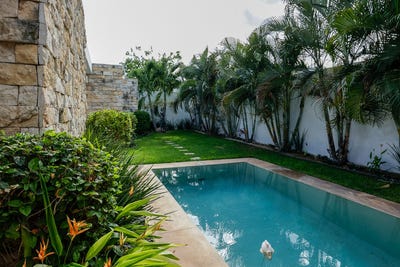 /international/mx/dzitya-dzitya-yucatan-310108305945/
