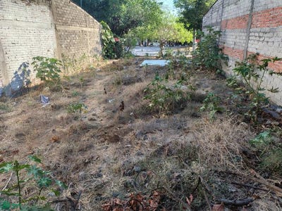/international/mx/carlos-gutierrez-zamora-492-alfredo-v-bonfil-villa-de-alvarez-colima-ciudad-de-villa-de-alvarez-colima-310108622692/