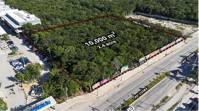 /international/mx/avenida-coba-tulum-quintana-roo-310106110178/