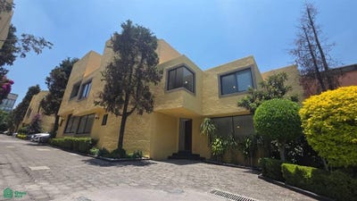 /international/mx/embocadura-65-los-alpes-alvaro-obregon-ciudad-de-mexico-ciudad-de-mexico-mexico-city-310108274494/