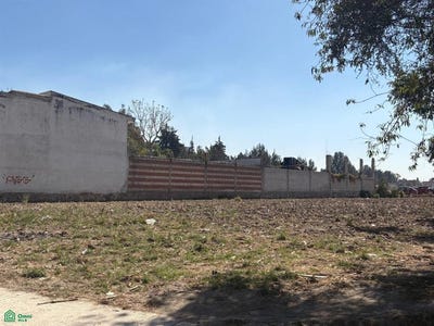 /international/mx/5-de-febrero-sur-sn-san-pedro-san-pablo-del-monte-tlaxcala-villa-vicente-guerrero-tlaxcala-310106518865/