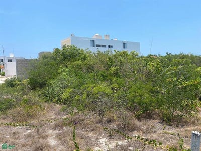 /international/mx/tablage-catastral-6091-dzemul-dzemul-yucatan-dzemul-yucatan-310108186708/