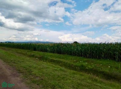 /international/mx/domicilio-conocido-una-fraccion-del-terreno-zozoquitla-0-topilco-de-juarez-xaltocan-tlaxcala-xaltocan-tlaxcala-310106193933/