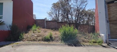 /international/mx/av-montana-monarca-1000-desarrollo-montana-monarca-58350-morelia-mich-mexico-altozano-michoacan-310108283673/