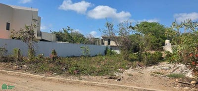 /international/mx/alondra-lt-6-mz-03-secc-c-rincon-de-guayabitos-compostela-nayarit-compostela-nayarit-310108007482/