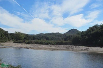 /international/mx/guayusas-8-barras-de-piaxtla-san-ignacio-sinaloa-san-ignacio-sinaloa-310104569709/