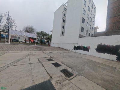 /international/mx/avenida-division-del-norte-4134-floresta-coyoacan-venustiano-carranza-ciudad-de-mexico-venustiano-carranza-michoacan-310108365741/