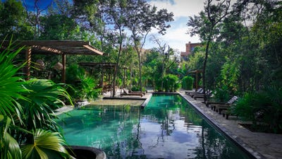/international/mx/av-5-c-19-colonia-tumben-kaa-norte-tulum-quintana-roo-310098552891/