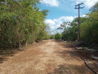 /international/mx/quintana-roo-lazaro-cardenas-nuevo-xcan-nuevo-xcan-quintana-roo-310103219597/