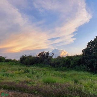 /international/mx/pueblo-de-san-antonio-0-san-antonio-tapalpa-jalisco-tapalpa-jalisco-310107364152/