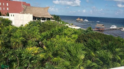 /international/mx/petempich-1-aldea-civitas-puerto-morelos-quintana-roo-puerto-morelos-quintana-roo-310094702848/