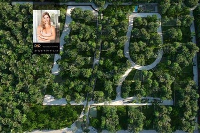 /international/mx/quintana-roo-quintana-roo-120095299242/