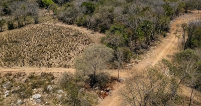 /international/mx/lote-rustico-palma-sola-y-lote-rustico-palomares-troncones-municipio-la-union-de-isidoro-montes-de-oca-guerrero-troncones-emiliano-zapata-guerrero-310108992121/