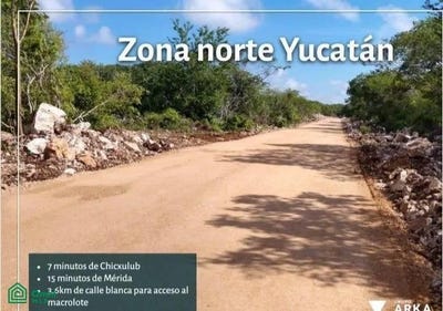/international/mx/tablaje-22653-chicxulub-puerto-progreso-yucatan-progreso-yucatan-310108374192/