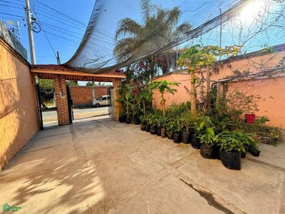 /international/mx/gaviotas-108-las-redes-chapala-jalisco-chapala-jalisco-310105964898/