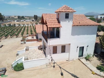 /international/mx/lote-fracc-b-lote-11-de-la-manzana-f-col-guadalupe-s-n-francisco-zarco-ensenada-baja-california-22750-ensenada-baja-california-310101059280/