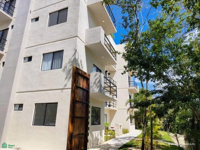 /international/mx/selva-escondida-edificio-41-puerto-morelos-puerto-morelos-quintana-roo-puerto-morelos-quintana-roo-310107474119/