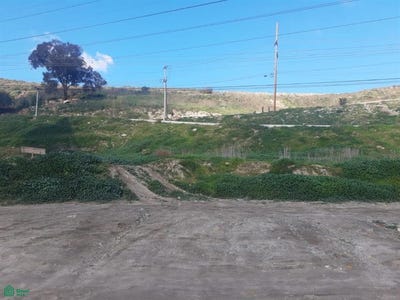 /international/mx/juan-escutia-14-los-arenales-a-tijuana-baja-california-tijuana-baja-california-310108288503/