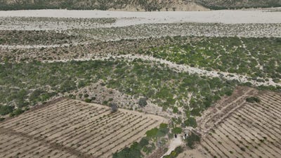 /international/mx/fracc-a-parcela-1z-0-p1-1-east-cape-baja-california-sur-310101079742/