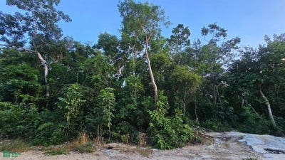 /international/mx/9-por-avenida-fundadores-de-tulum-1-8-y-4-tulum-centro-tulum-quintana-roo-tulum-quintana-roo-310097679589/