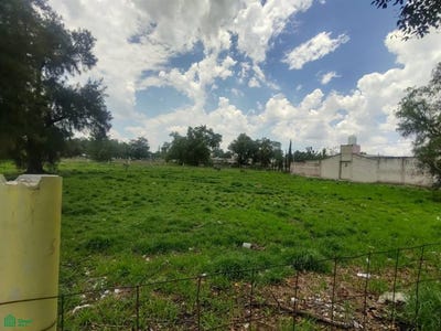 /international/mx/avenida-mexico-s-n-barrio-san-mateo-acuitlapilco-s-n-san-mateo-acuitlapilco-nextlalpan-mexico-nextlalpan-mexico-city-310108374156/