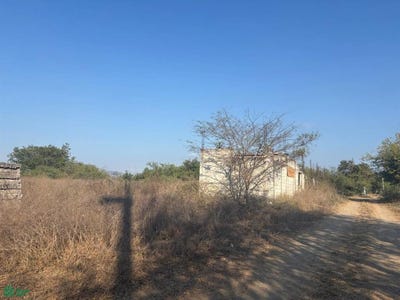 /international/mx/rancho-nuevo-s-n-los-asmoles-colima-colima-colima-colima-310106489056/