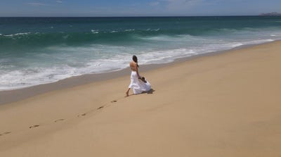 /international/mx/pelicanos-cabo-san-lucas-baja-california-sur-310095471026/