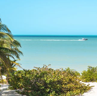 /international/mx/calle-23-telchac-puerto-yucatan-310100485764/