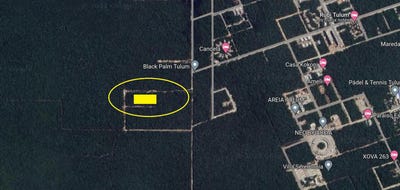 /international/mx/calle-2-sur-tulum-municipality-quintana-roo-120089369300/?lang=en