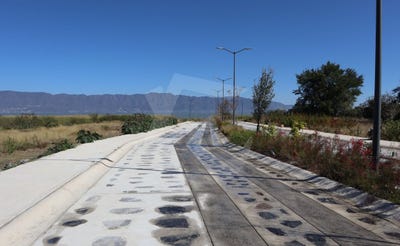 /international/mx/avenida-ramon-corona-san-luis-soyatlan-jalisco-310108921373/