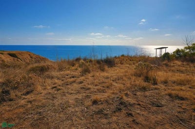 /international/mx/callejon-san-quintin-lot-1-manzana-631-terrazas-del-pacifico-playas-de-rosarito-baja-california-playas-de-rosarito-baja-california-310100707701/
