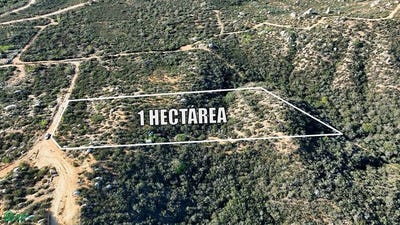 /international/mx/lomas-de-san-antonio-0-san-antonio-de-las-minas-ensenada-baja-california-ensenada-baja-california-310108327232/