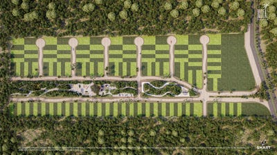 /international/mx/calle-21-dzidzantun-municipality-yucatan-310098110015/