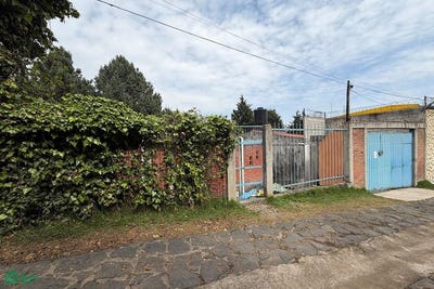 /international/mx/camino-pie-al-maninal-40-santo-tomas-ajusco-venustiano-carranza-ciudad-de-mexico-venustiano-carranza-michoacan-310108310206/