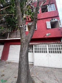 /international/mx/norte-50-a-3839-emiliano-zapata-gustavo-a-madero-ciudad-de-mexico-ciudad-de-mexico-mexico-city-310107248874/