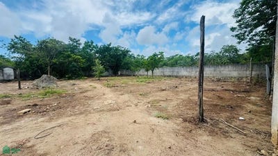 /international/mx/terreno-en-venta-en-colonia-doctores-cancun-n-a-supermanzana-307-cancun-benito-juarez-quintana-roo-77560-quintana-roo-310108486595/