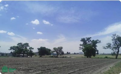 /international/mx/privavada-sin-nombre-zaragoza-san-miguel-totocuitlapilco-s-n-san-miguel-totocuitlapilco-metepec-mexico-metepec-mexico-city-310107947236/