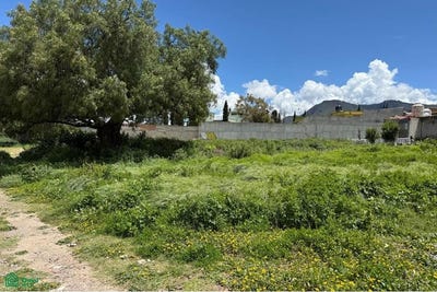 /international/mx/calle-moctezuma-5-el-calvario-tepeapulco-hidalgo-tepeapulco-hidalgo-310108313266/