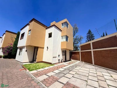 /international/mx/callejon-buenavista-117-1-pueblo-nuevo-bajo-la-magdalena-contreras-ciudad-de-mexico-ciudad-de-mexico-mexico-city-310106715216/