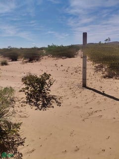 /international/mx/lote-43-lote-43-medanos-juarez-chihuahua-juarez-chihuahua-310107272319/