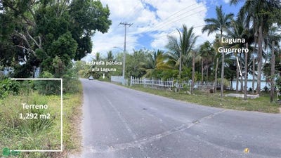 /international/mx/carretera-ramal-a-raudales-6-laguna-guerrero-othon-p-blanco-quintana-roo-othon-p-blanco-quintana-roo-310108327267/