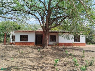 /international/mx/prolongacion-hidalgo-104-aldama-aldama-chiapas-aldama-chiapas-310101229195/?lang=it