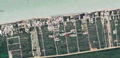 /international/mx/k24-5336-san-benito-homun-yucatan-97583-homun-nuevo-leon-310107189075/