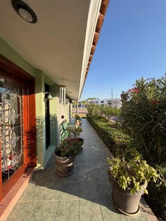 /international/mx/las-margaritas-aguascalientes-aguascalientes-310106044186/