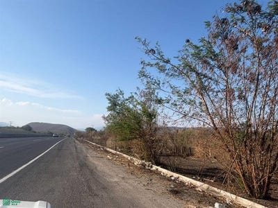 /international/mx/carretera-4-caminos-colima-manzanillo-coordenada-1906-40-3-n-los-asmoles-colima-colima-colima-colima-310108113331/