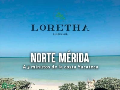 /international/mx/tablaje-22652-chicxulub-puerto-progreso-yucatan-progreso-yucatan-310108374188/