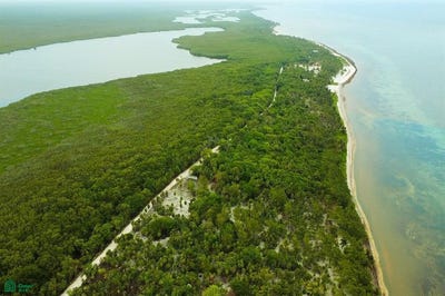 /international/mx/camino-majahual-punta-herrero-municipio-de-bacalar-municipio-de-bacalar-0-bacalar-bacalar-quintana-roo-77975-bacalar-quintana-roo-310108113308/