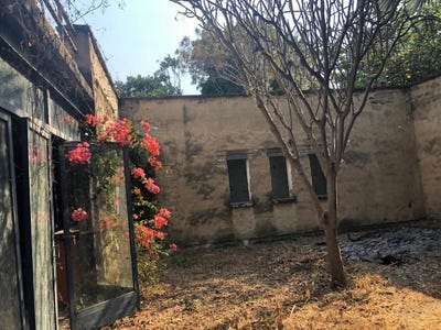 /international/mx/predio-rustico-riego-cjon-a-tlayacapan-itzamatitlan-s-n-itzamatitlan-morelos-310108283724/