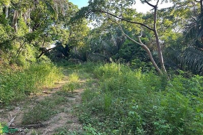 /international/mx/avenida-del-3er-mundo-2-san-francisco-bahia-de-banderas-nayarit-bahia-de-banderas-nayarit-310108309786/